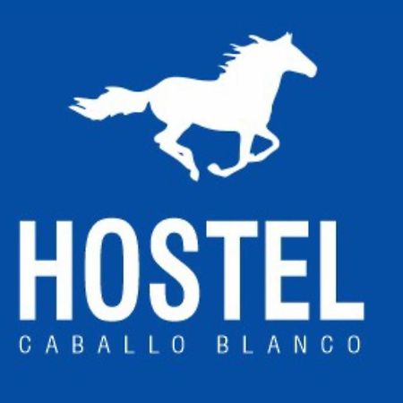 Hostel Caballo Blanco Cartagena 외부 사진