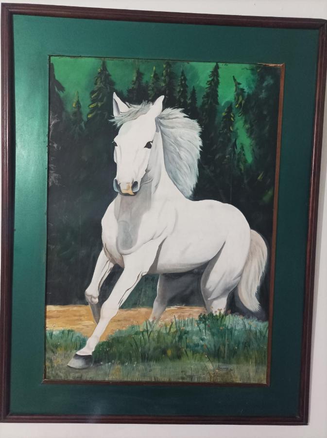 Hostel Caballo Blanco Cartagena 외부 사진