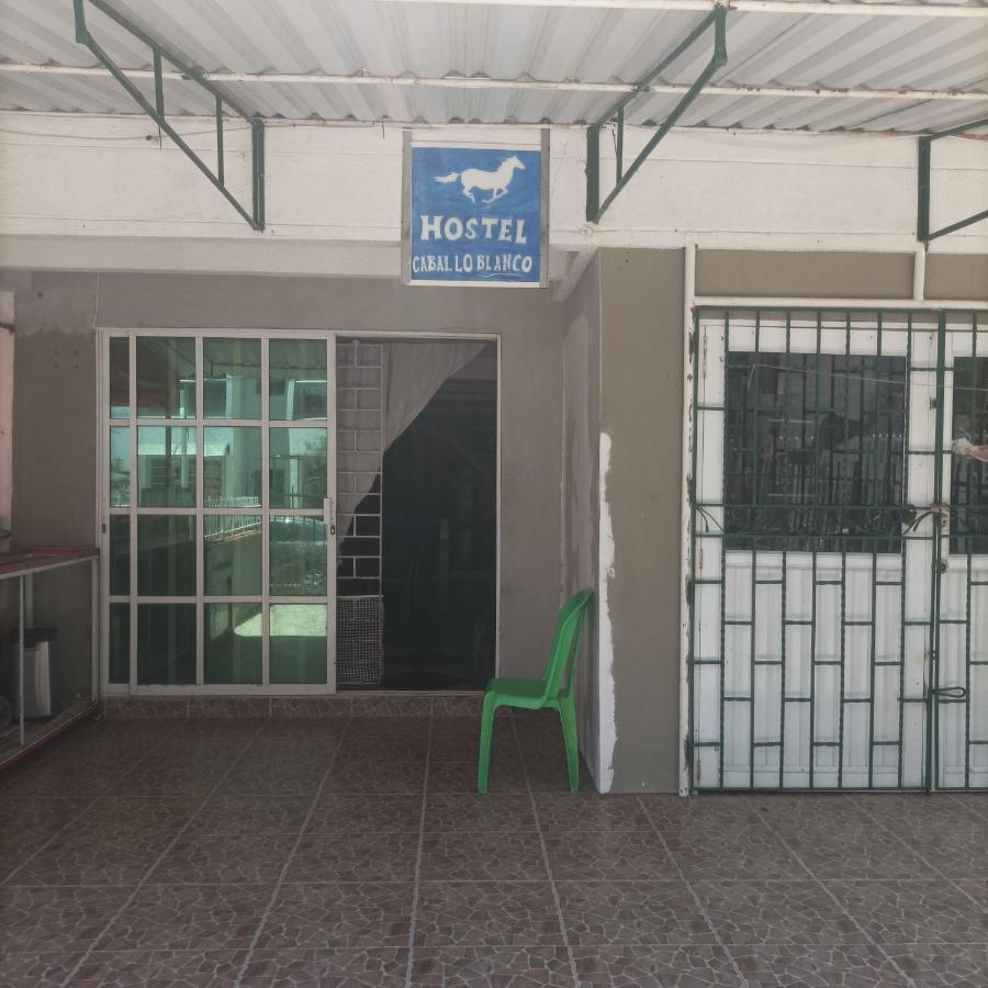 Hostel Caballo Blanco Cartagena 외부 사진